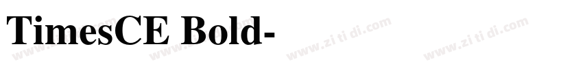 TimesCE Bold字体转换